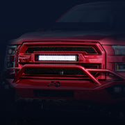 Ford F150 2015-2017 Grille